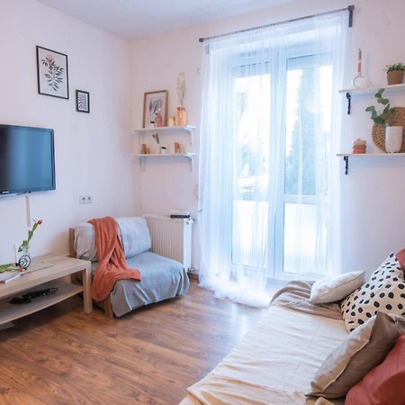 Home Studio Z Ogrodkiem Krakkó Kültér fotó